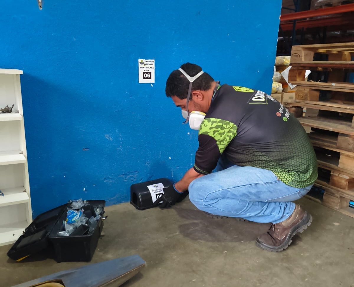 Serviço de desratização profissional