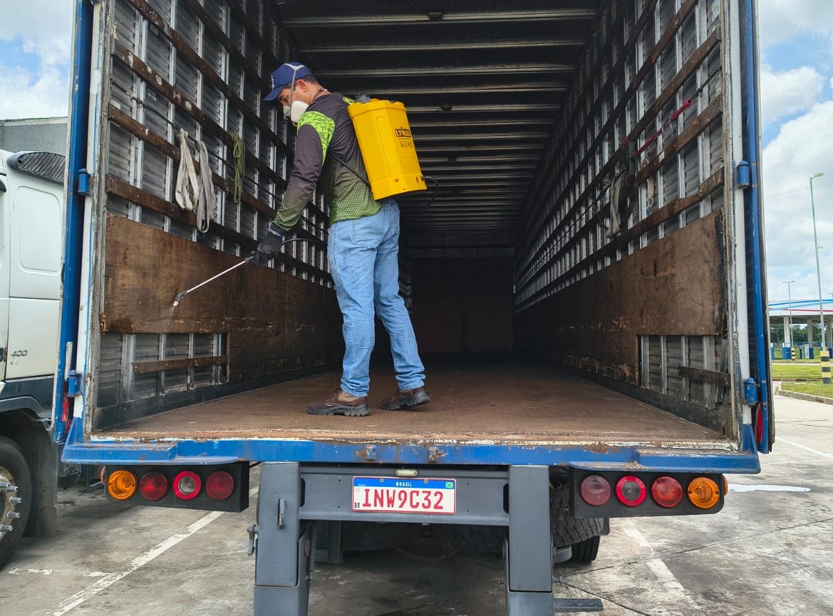 Serviço de desinsetização profissional